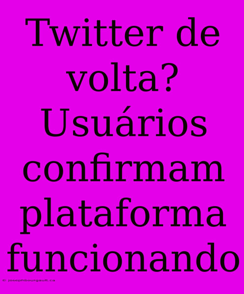 Twitter De Volta? Usuários Confirmam Plataforma Funcionando