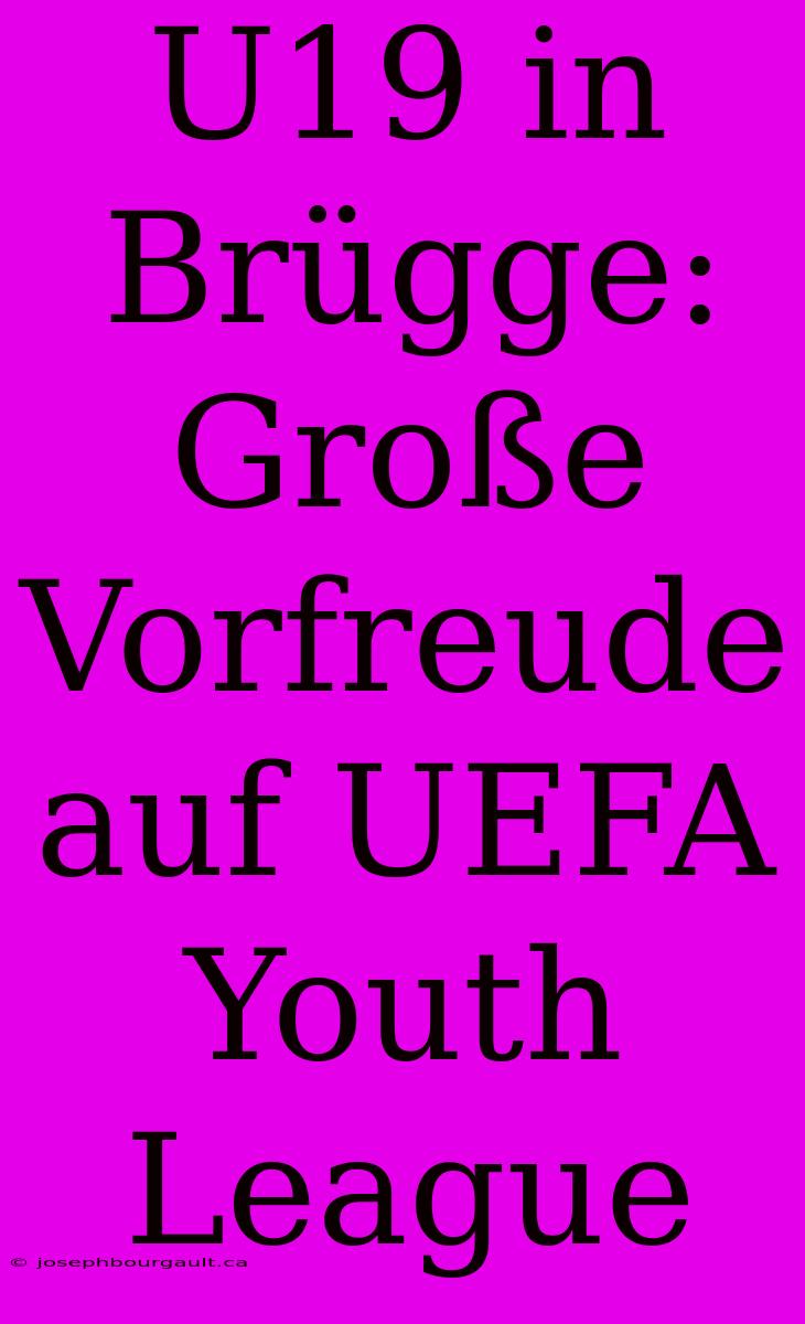 U19 In Brügge: Große Vorfreude Auf UEFA Youth League