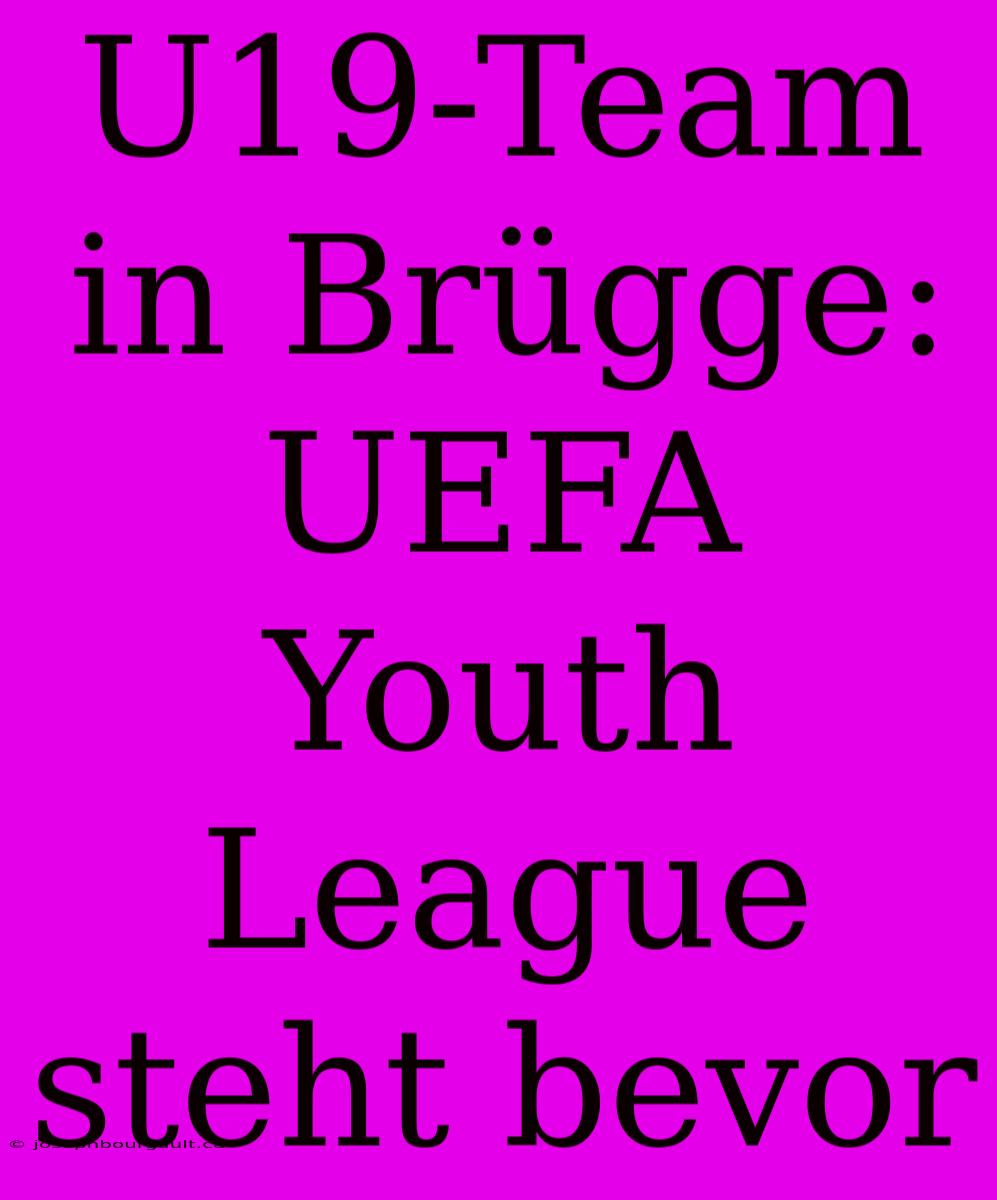 U19-Team In Brügge: UEFA Youth League Steht Bevor