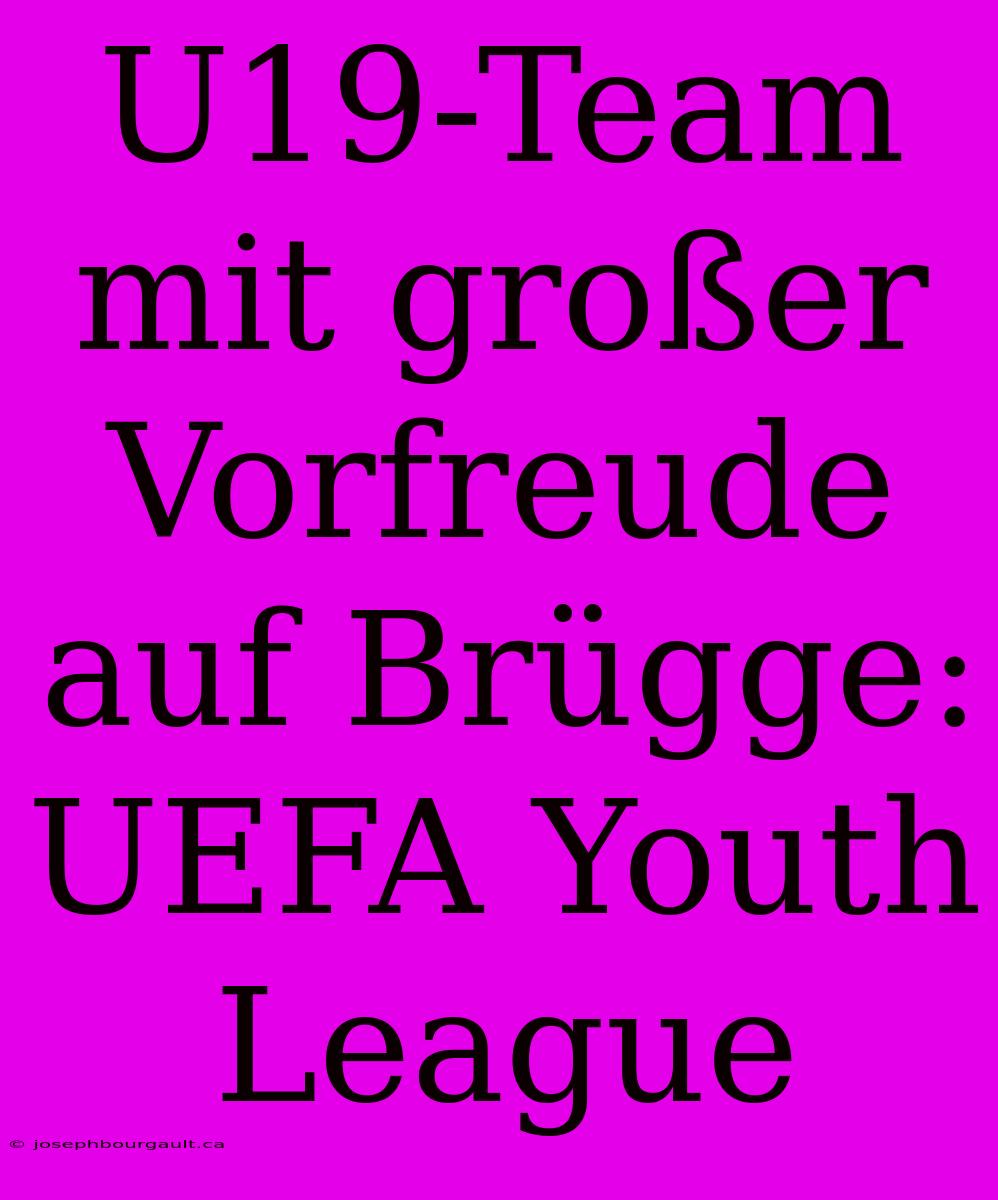 U19-Team Mit Großer Vorfreude Auf Brügge: UEFA Youth League