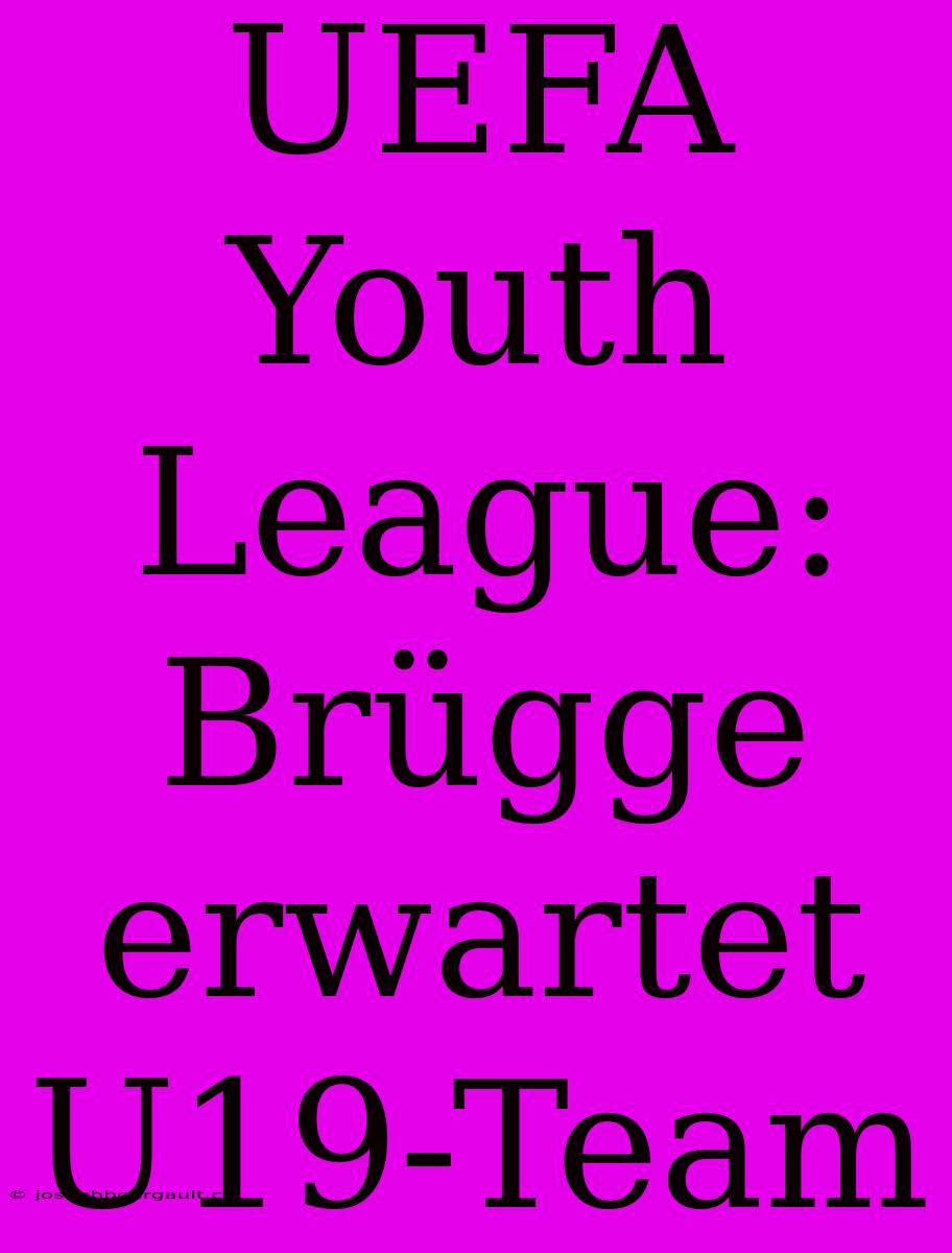 UEFA Youth League: Brügge Erwartet U19-Team