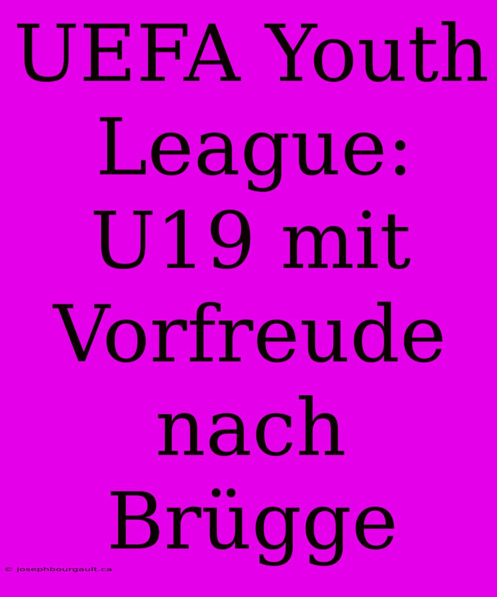 UEFA Youth League: U19 Mit Vorfreude Nach Brügge