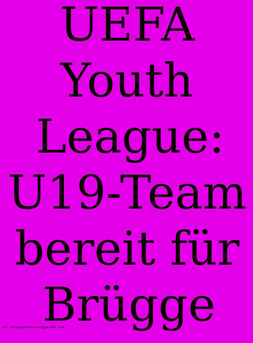 UEFA Youth League: U19-Team Bereit Für Brügge