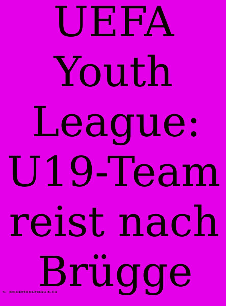 UEFA Youth League: U19-Team Reist Nach Brügge