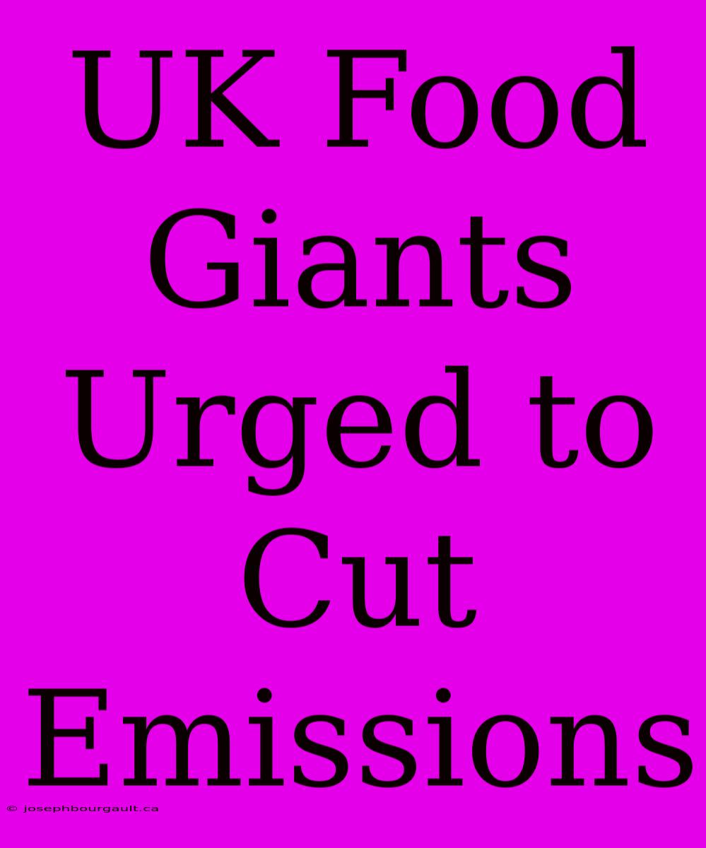 UK Food Giants Urged To Cut Emissions