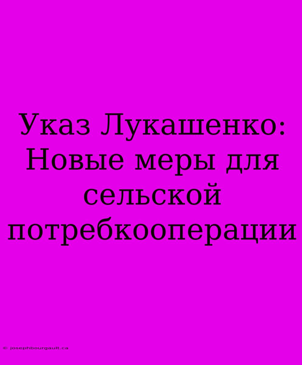 Указ Лукашенко: Новые Меры Для Сельской Потребкооперации