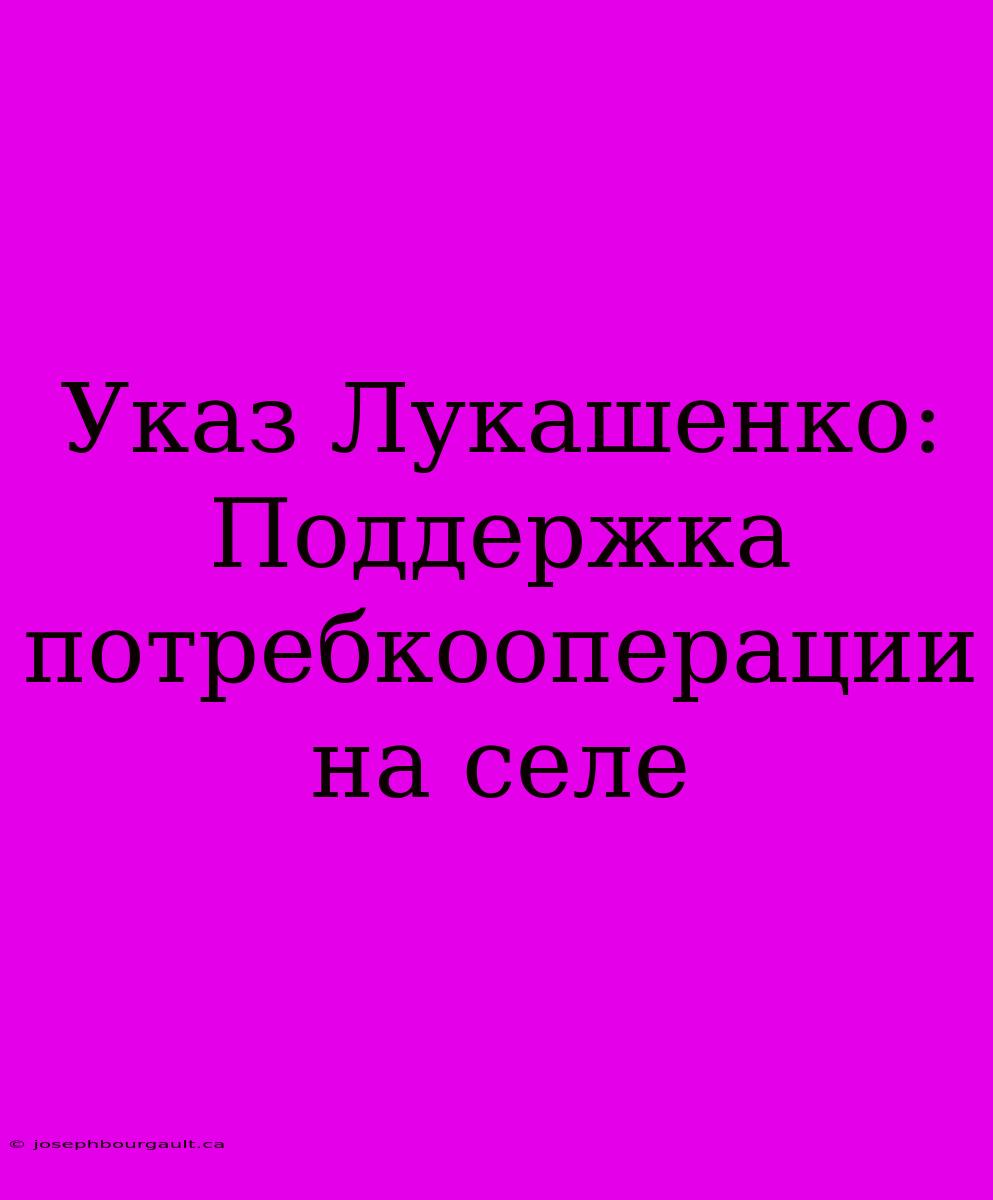 Указ Лукашенко: Поддержка Потребкооперации На Селе