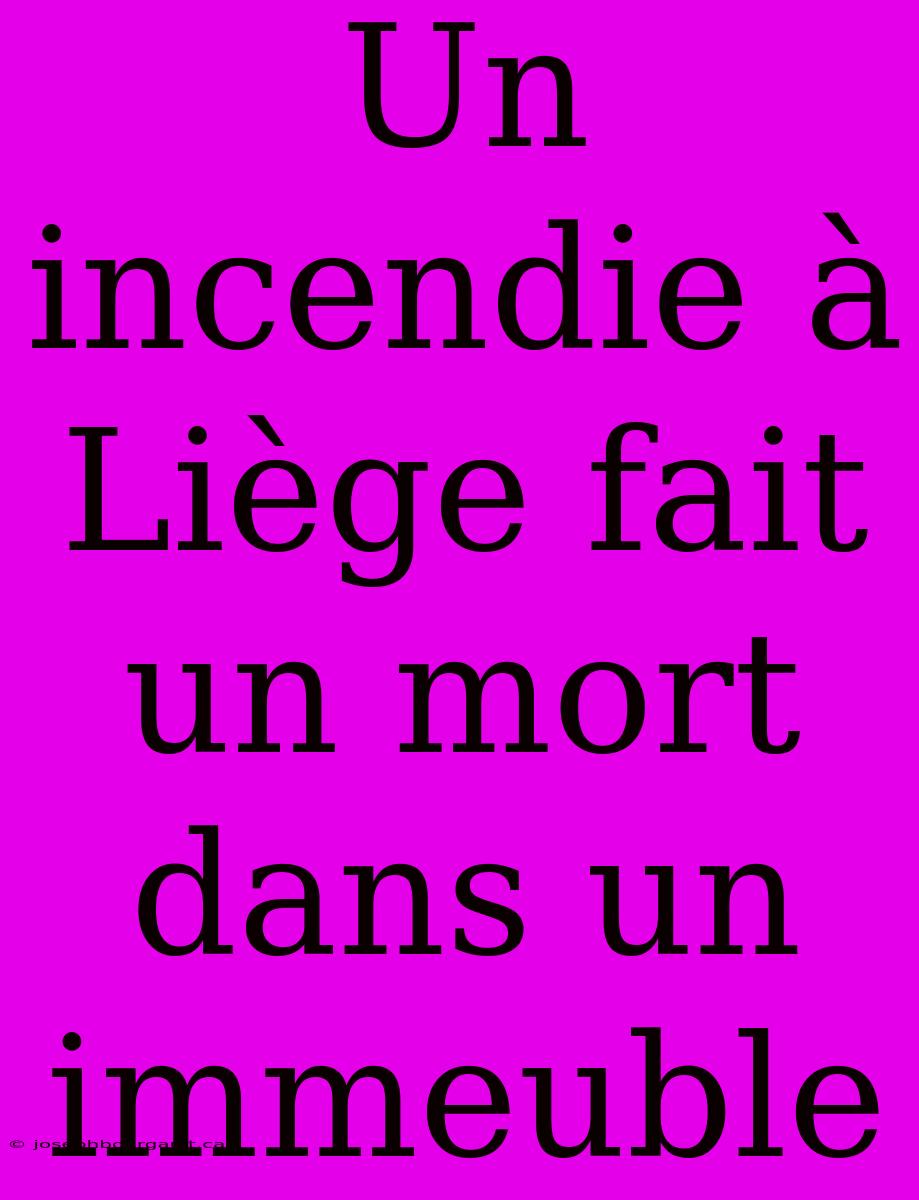 Un Incendie À Liège Fait Un Mort Dans Un Immeuble