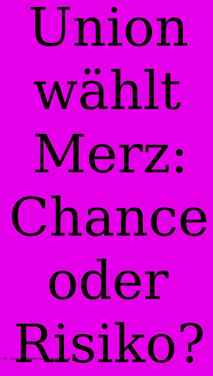 Union Wählt Merz: Chance Oder Risiko?