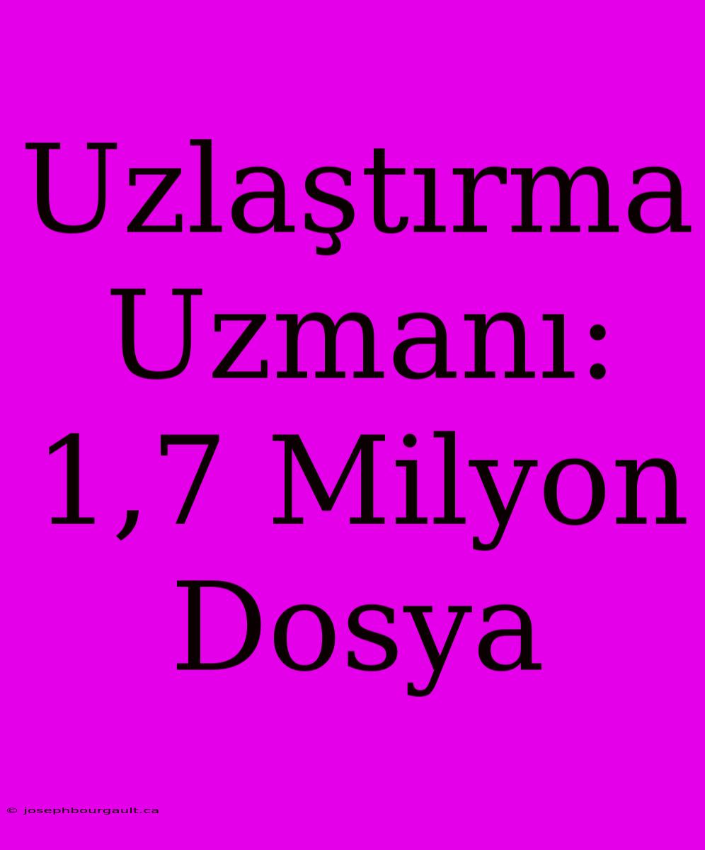 Uzlaştırma Uzmanı: 1,7 Milyon Dosya