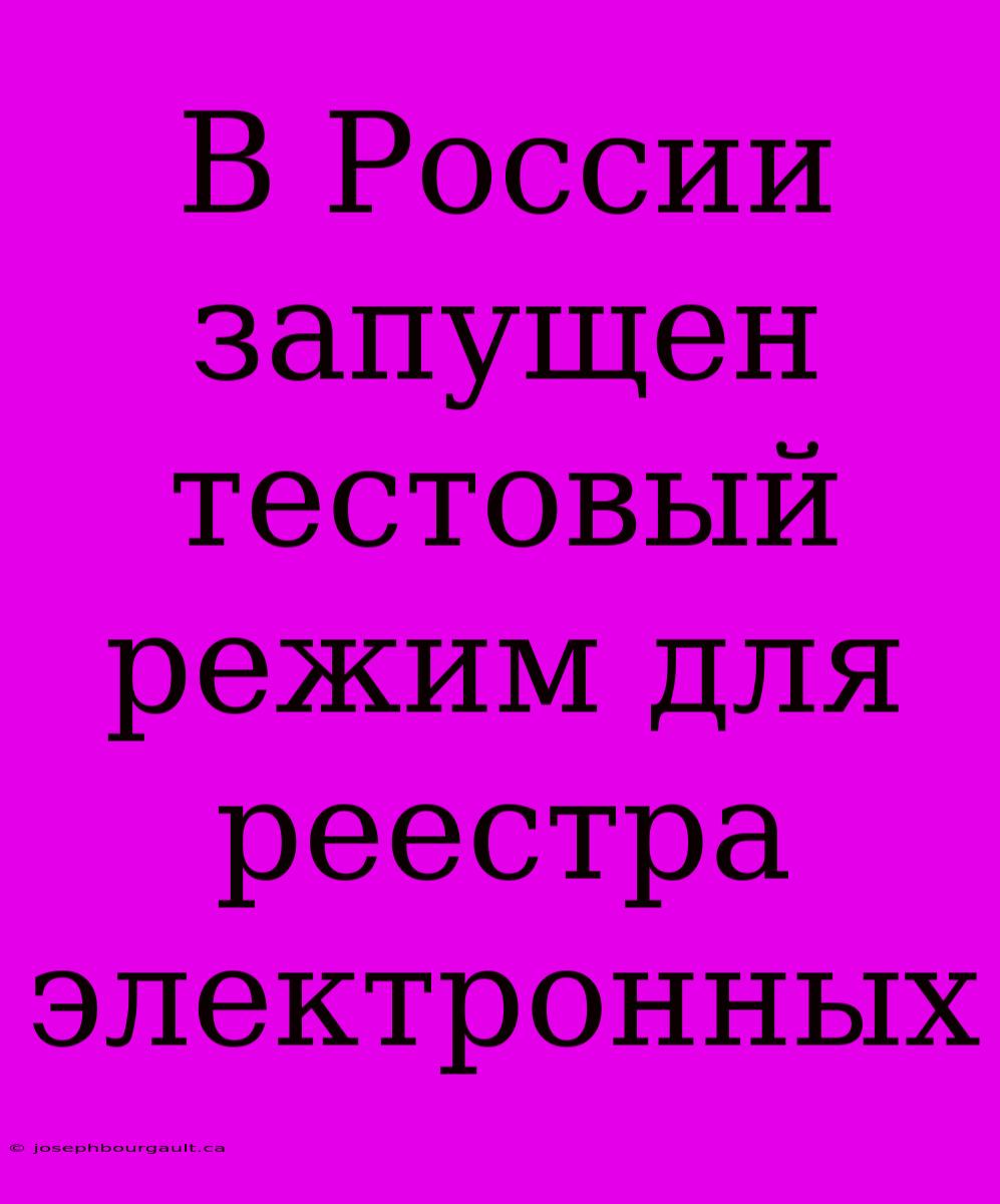В России Запущен Тестовый Режим Для Реестра Электронных