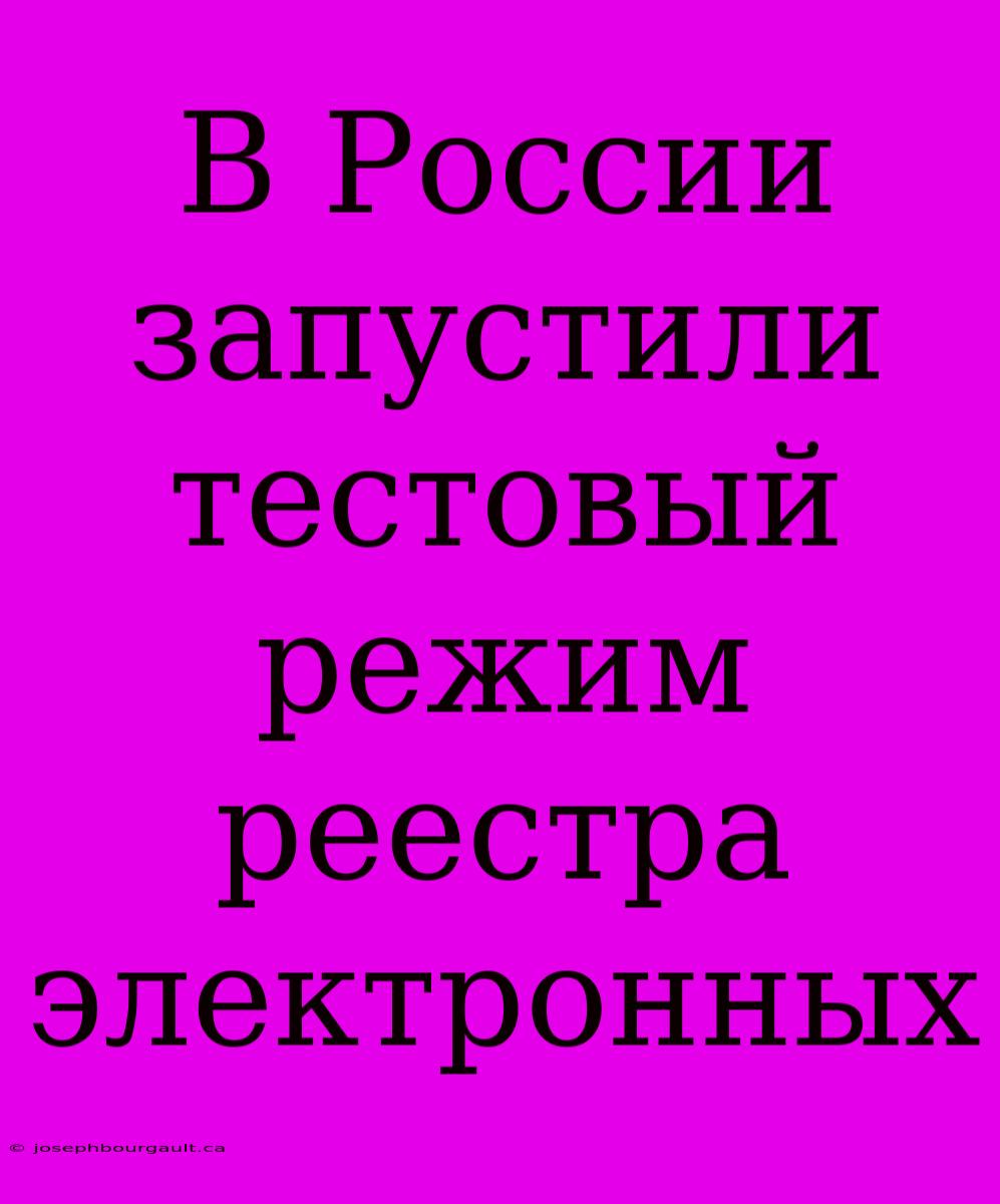 В России Запустили Тестовый Режим Реестра Электронных
