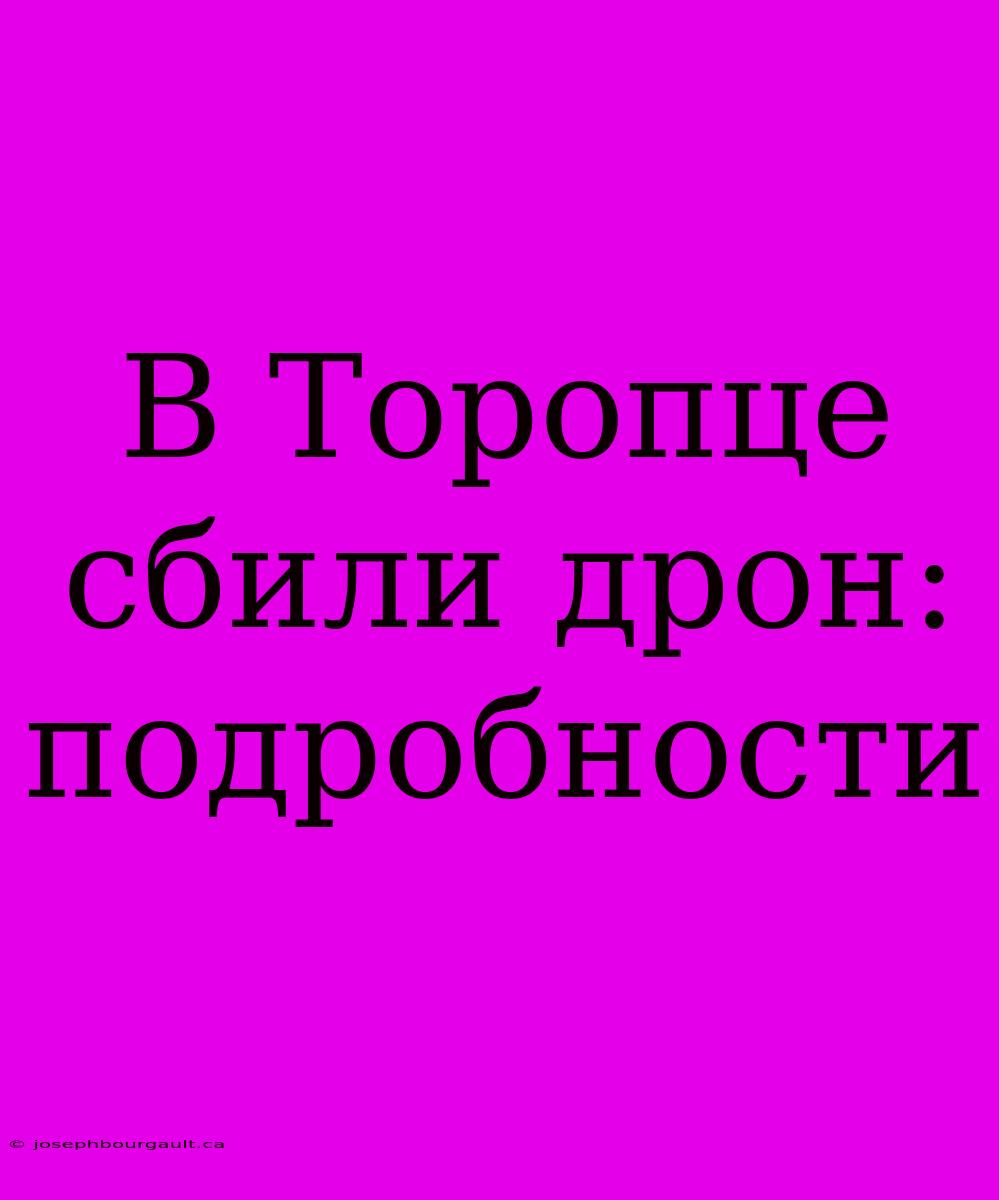 В Торопце Сбили Дрон: Подробности