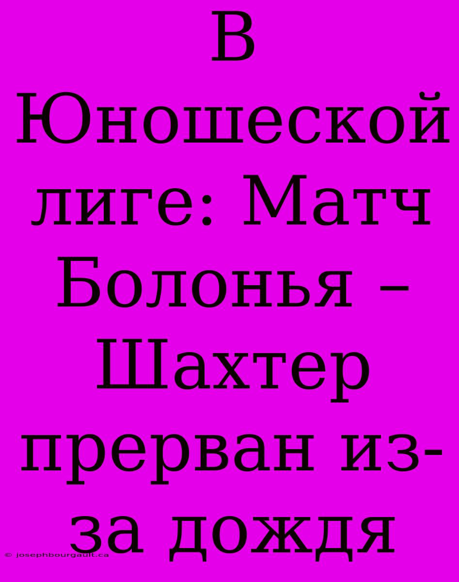 В Юношеской Лиге: Матч Болонья – Шахтер Прерван Из-за Дождя