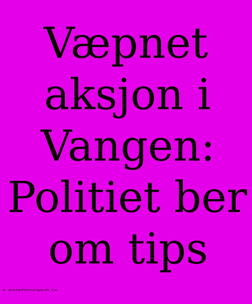 Væpnet Aksjon I Vangen: Politiet Ber Om Tips