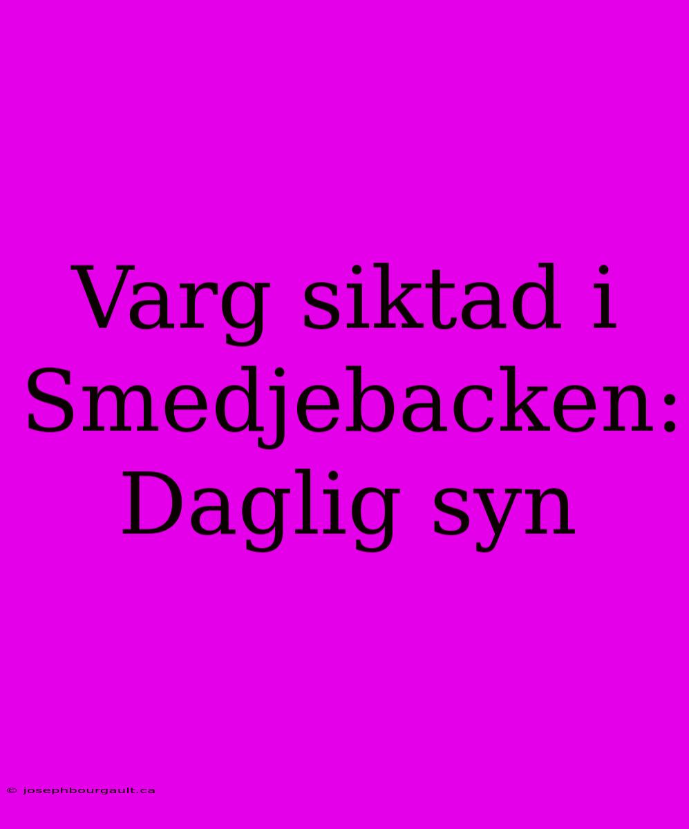 Varg Siktad I Smedjebacken: Daglig Syn