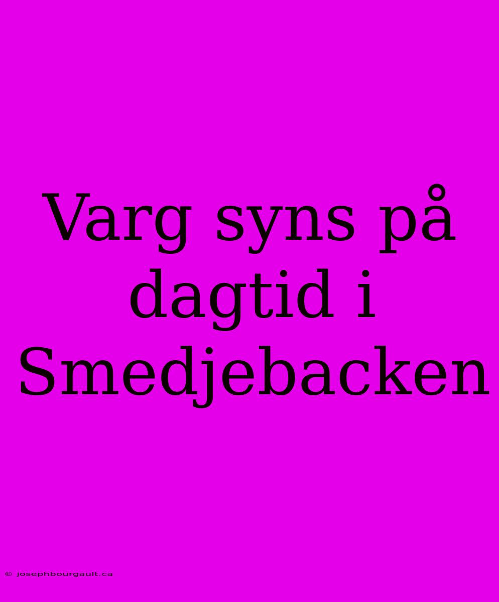 Varg Syns På Dagtid I Smedjebacken