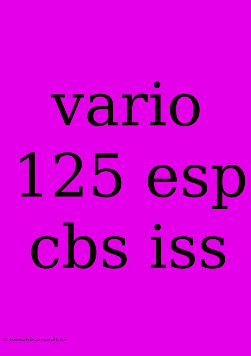 Vario 125 Esp Cbs Iss