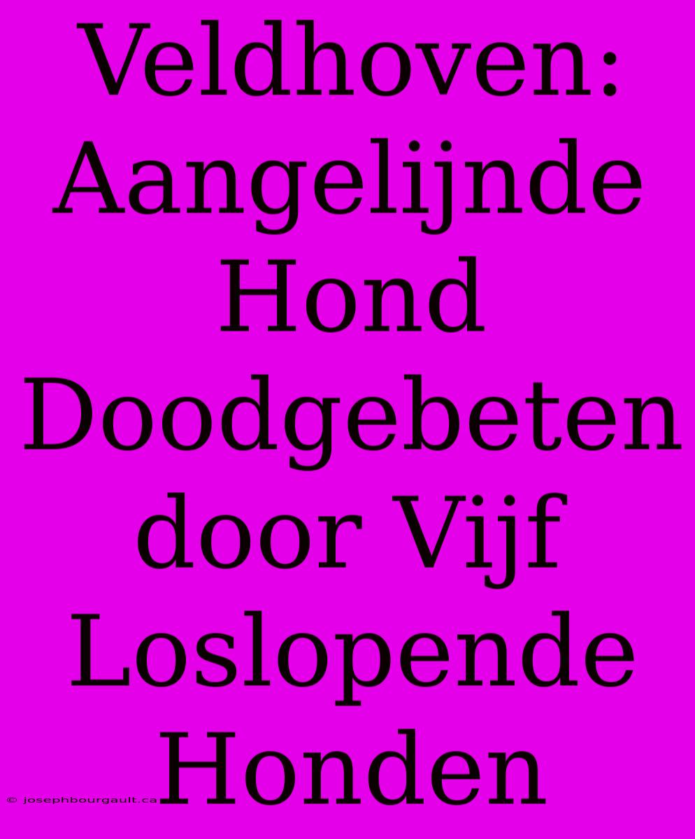 Veldhoven: Aangelijnde Hond Doodgebeten Door Vijf Loslopende Honden