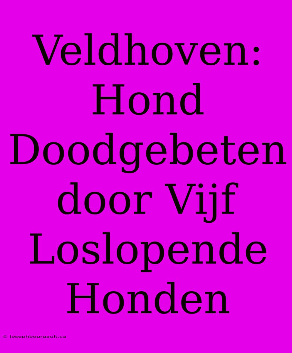 Veldhoven: Hond Doodgebeten Door Vijf Loslopende Honden