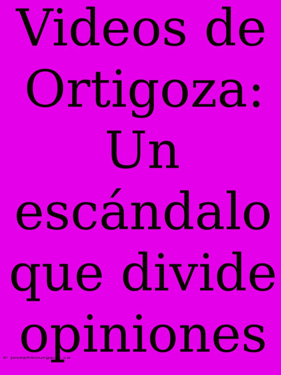 Videos De Ortigoza: Un Escándalo Que Divide Opiniones