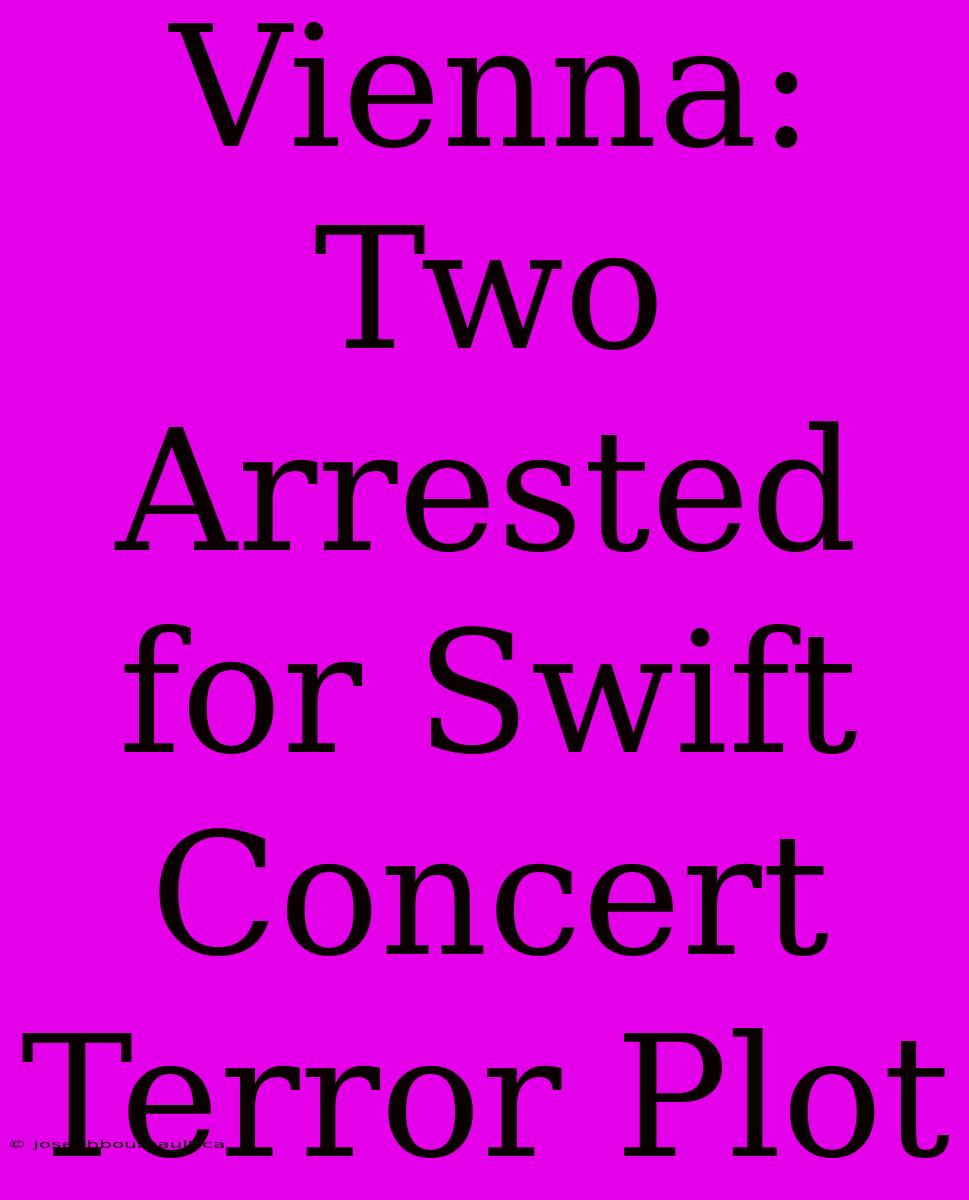 Vienna: Two Arrested For Swift Concert Terror Plot