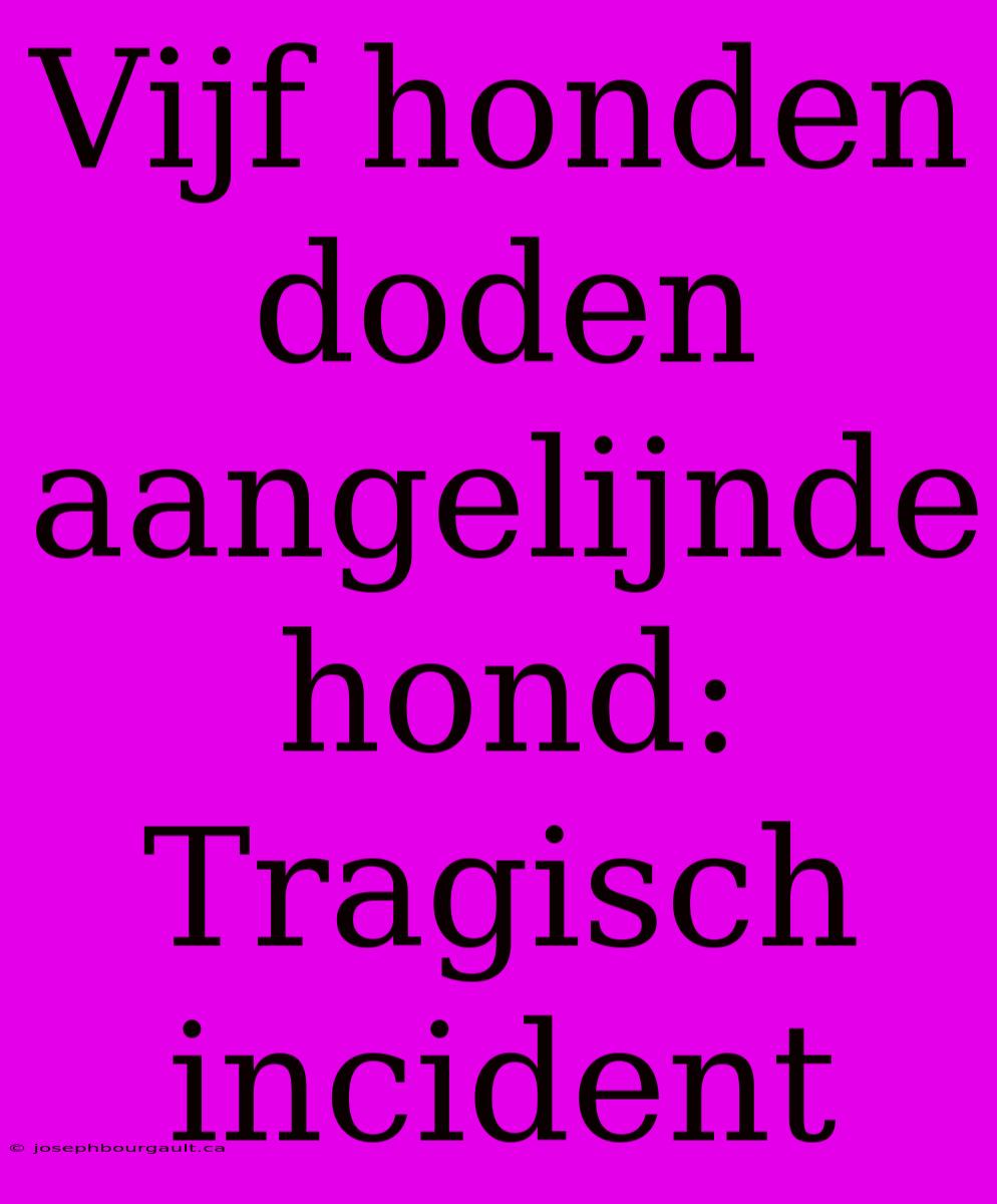 Vijf Honden Doden Aangelijnde Hond: Tragisch Incident