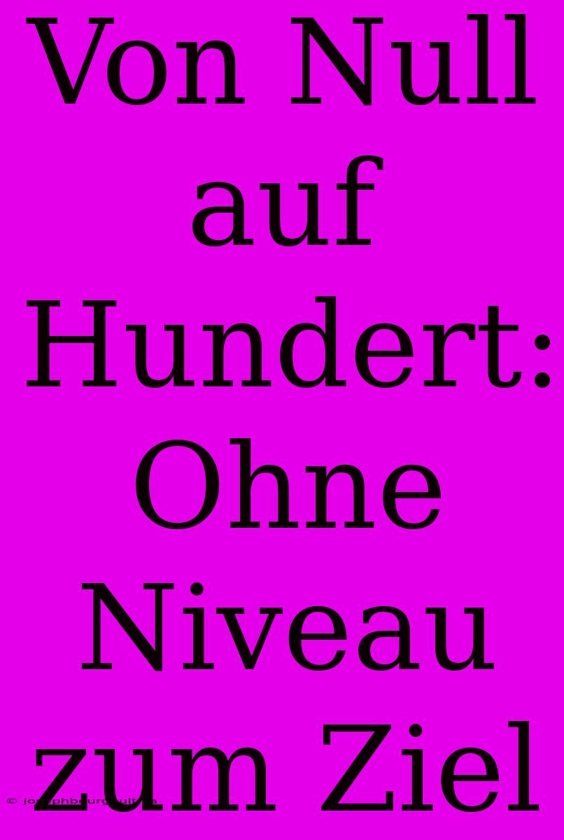 Von Null Auf Hundert: Ohne Niveau Zum Ziel