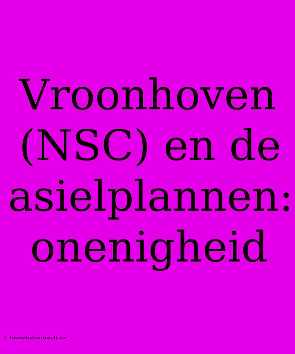 Vroonhoven (NSC) En De Asielplannen: Onenigheid