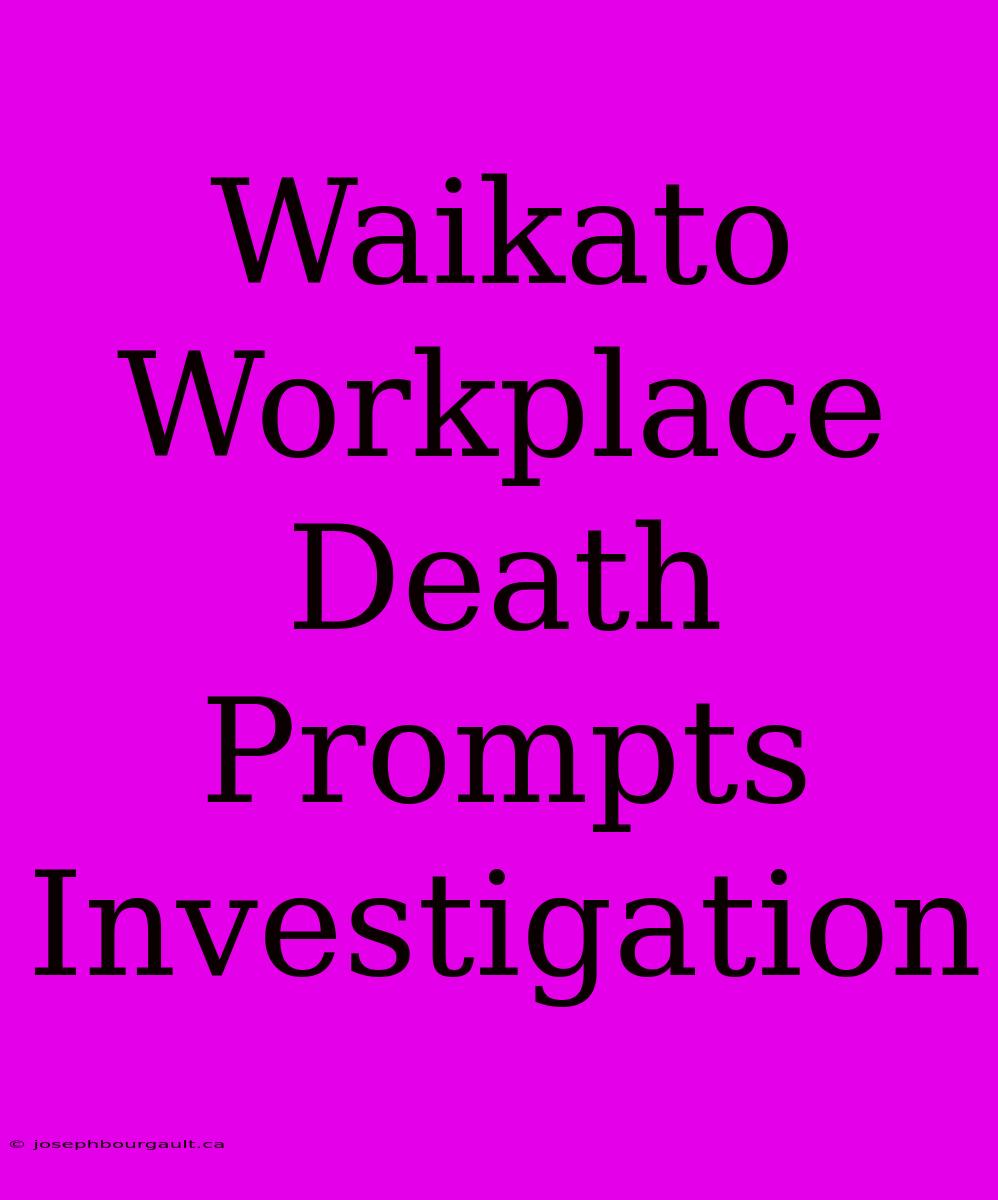 Waikato Workplace Death Prompts Investigation