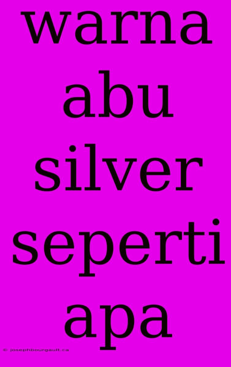 Warna Abu Silver Seperti Apa