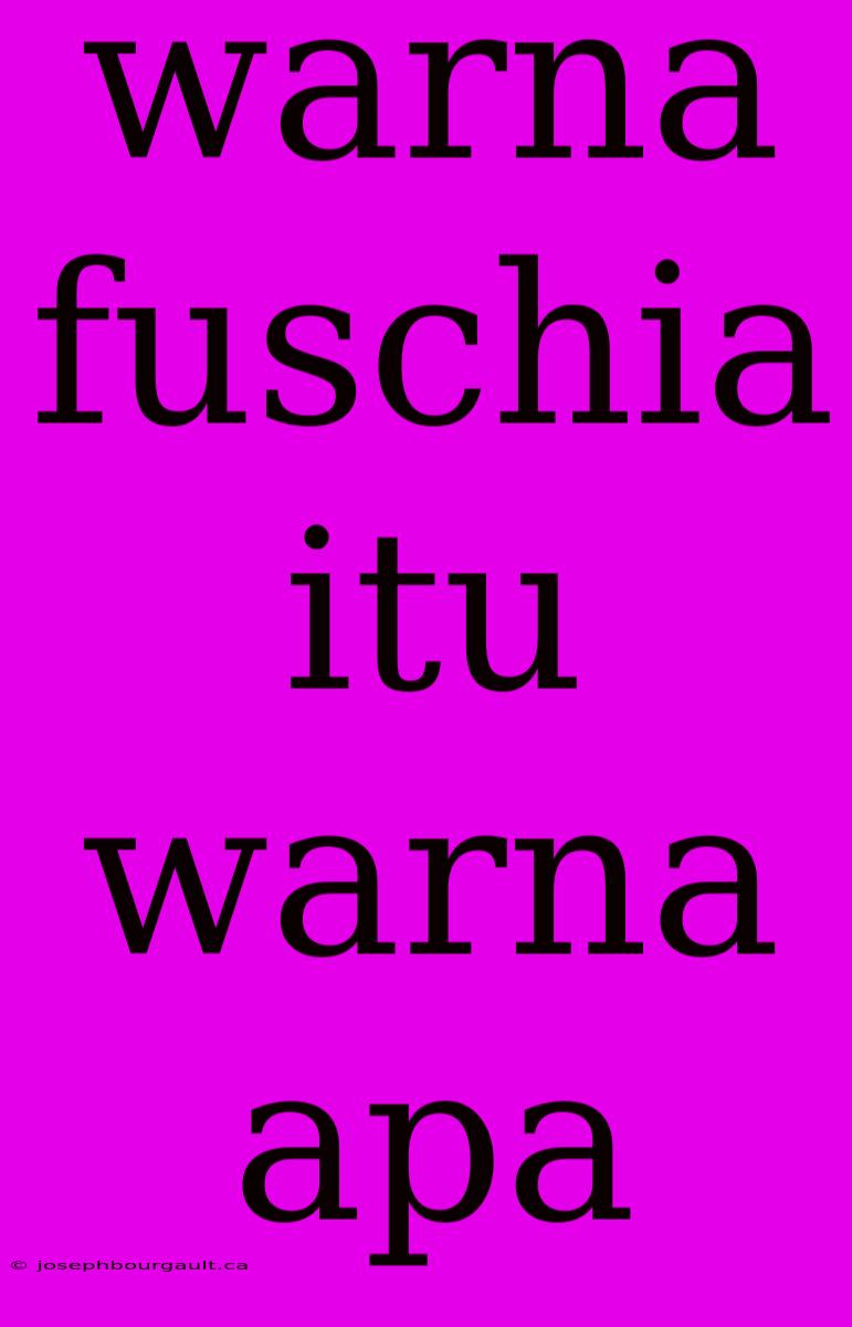 Warna Fuschia Itu Warna Apa