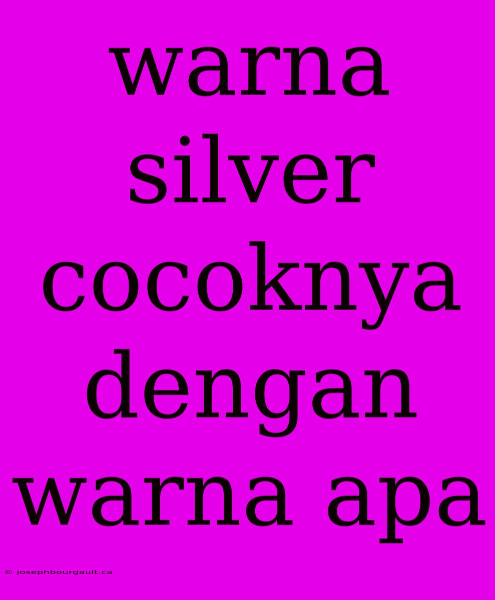 Warna Silver Cocoknya Dengan Warna Apa