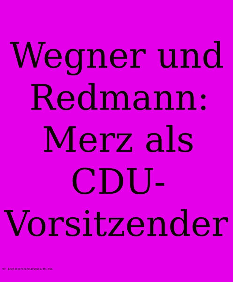 Wegner Und Redmann: Merz Als CDU-Vorsitzender