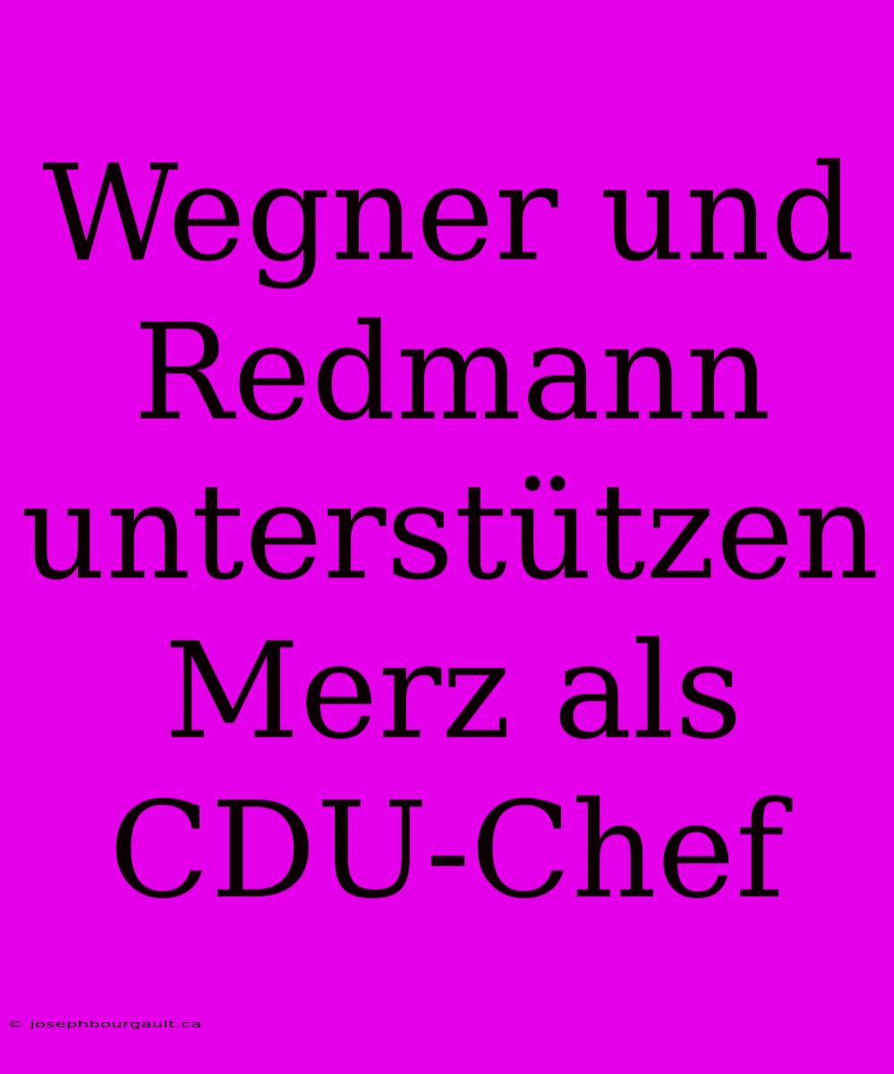 Wegner Und Redmann Unterstützen Merz Als CDU-Chef