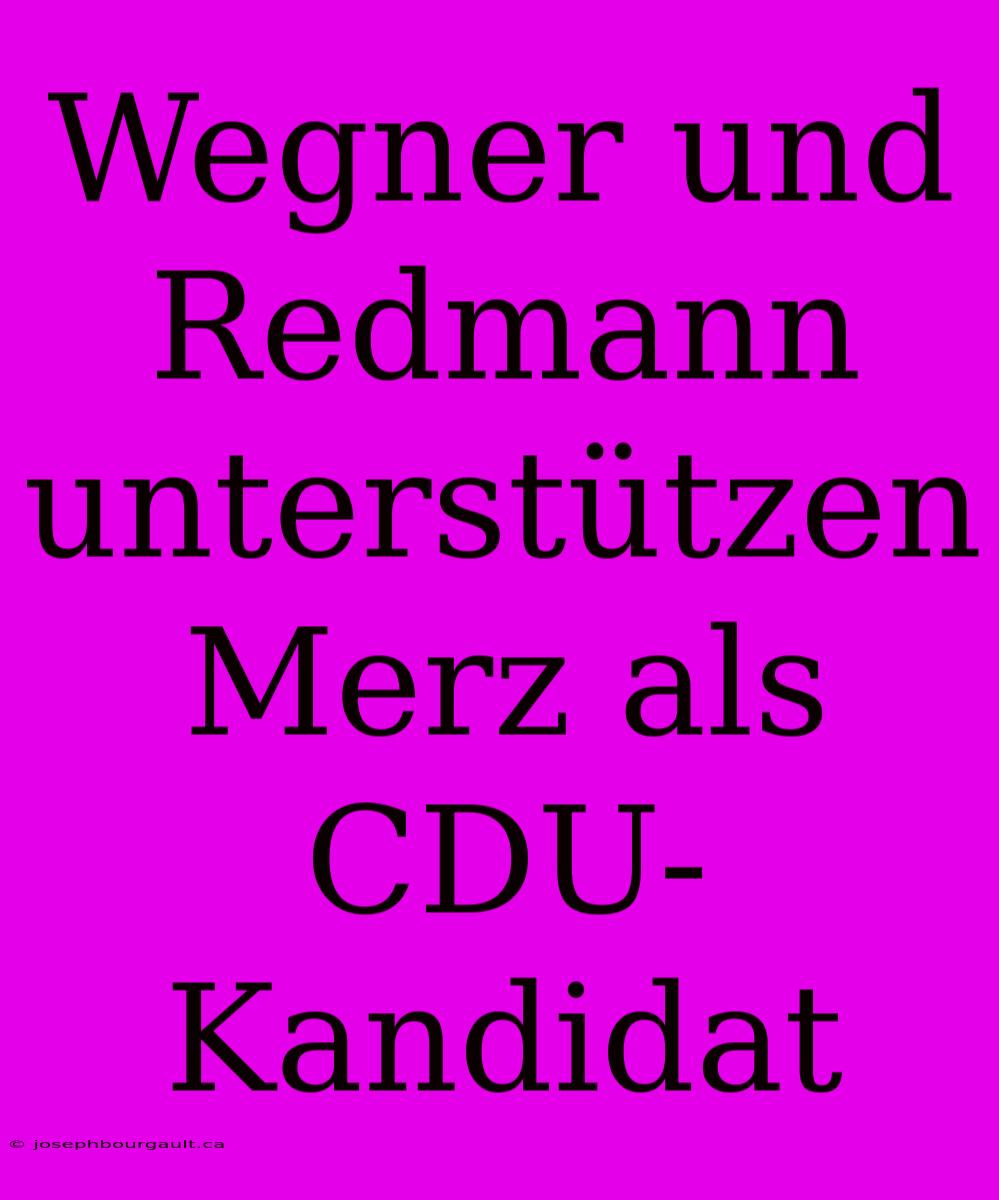 Wegner Und Redmann Unterstützen Merz Als CDU-Kandidat