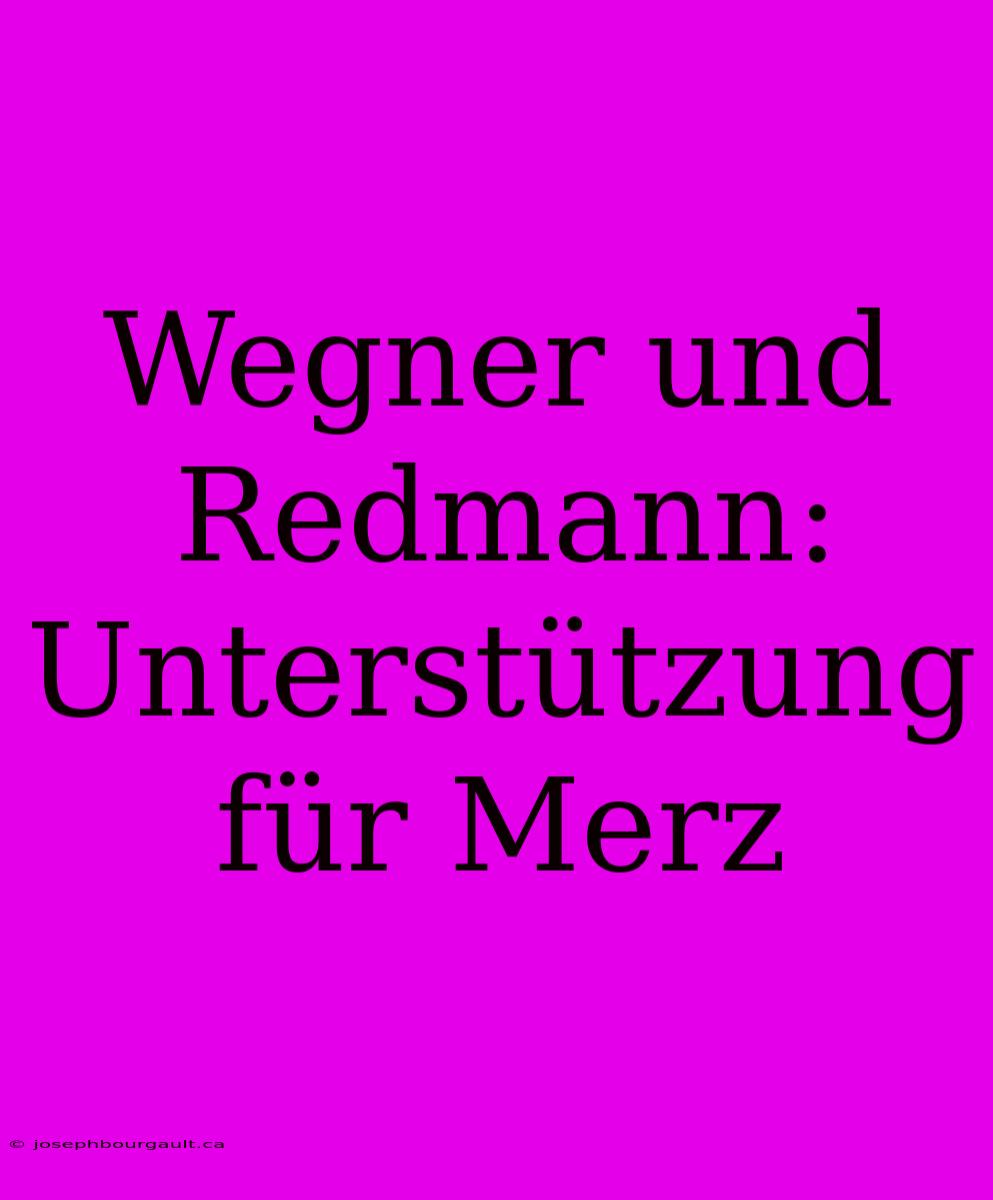 Wegner Und Redmann: Unterstützung Für Merz