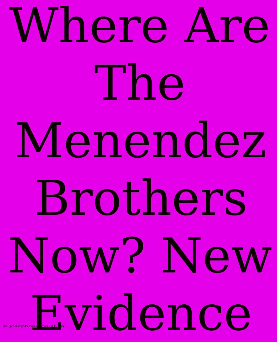 Where Are The Menendez Brothers Now? New Evidence