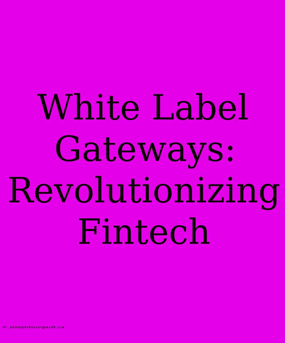 White Label Gateways: Revolutionizing Fintech