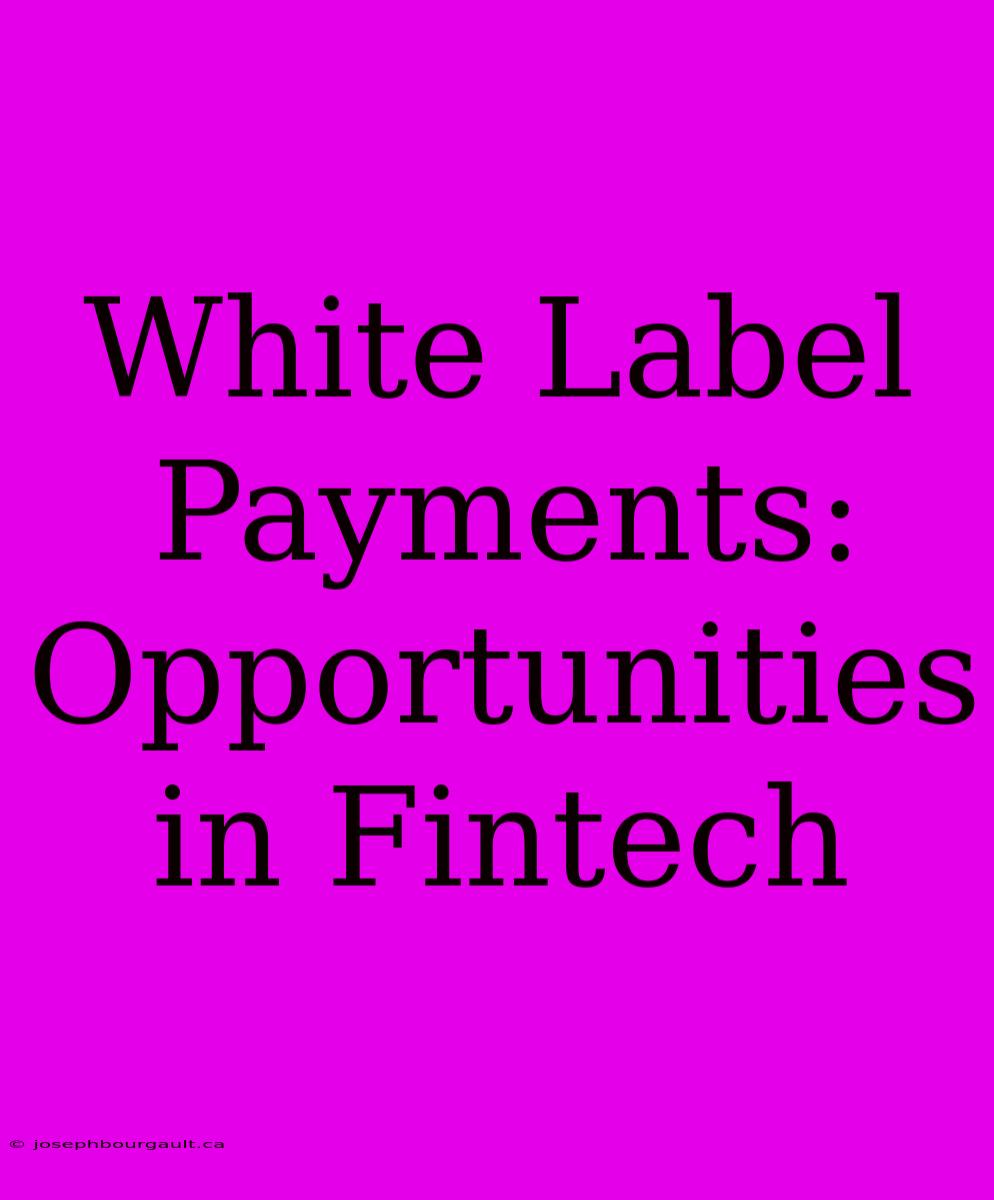 White Label Payments: Opportunities In Fintech