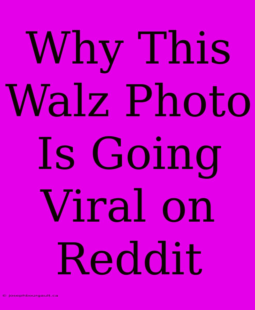 Why This Walz Photo Is Going Viral On Reddit