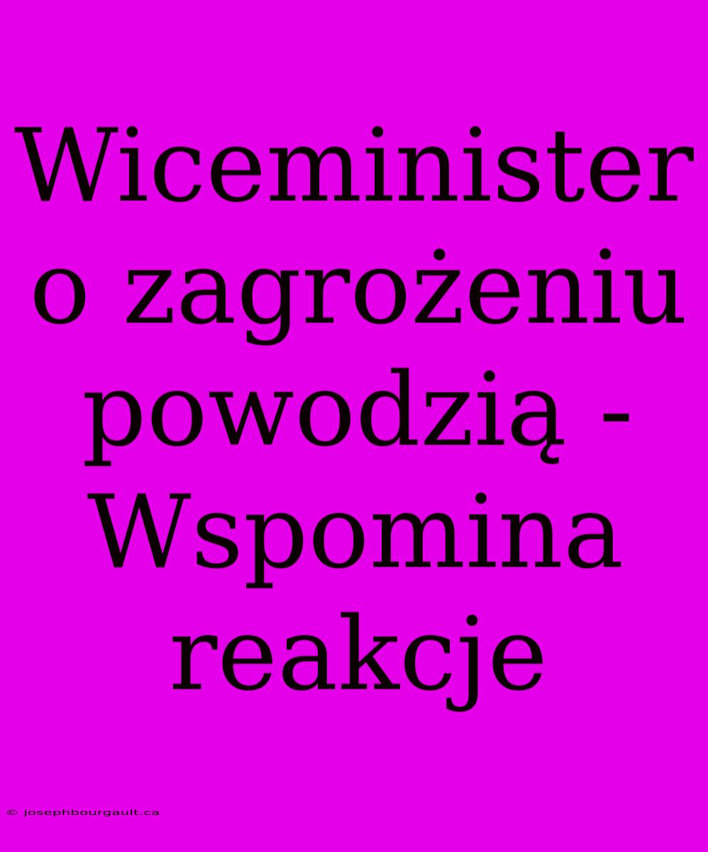 Wiceminister O Zagrożeniu Powodzią - Wspomina Reakcje