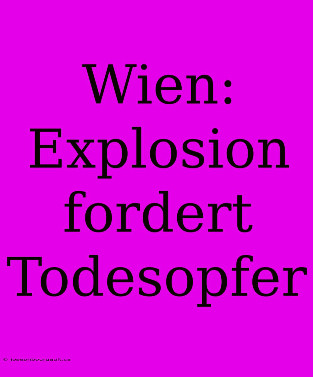 Wien: Explosion Fordert Todesopfer