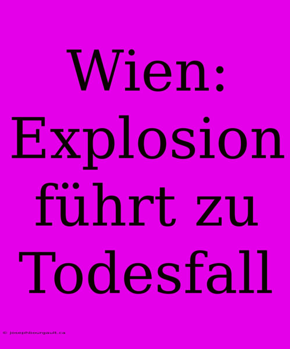 Wien: Explosion Führt Zu Todesfall