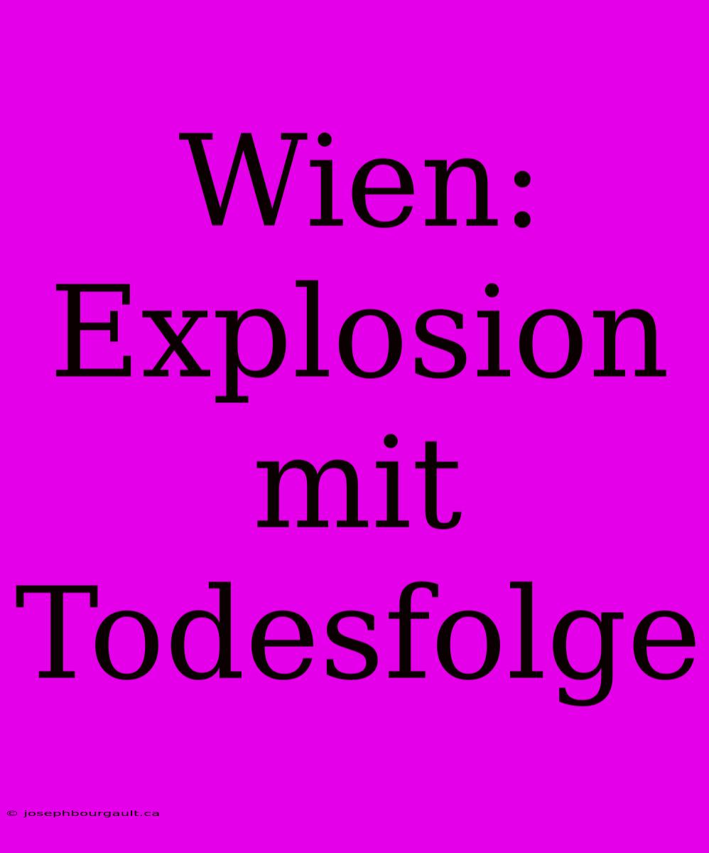 Wien: Explosion Mit Todesfolge