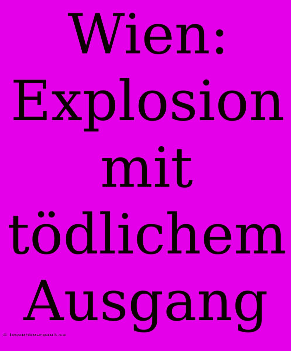 Wien:  Explosion Mit Tödlichem Ausgang