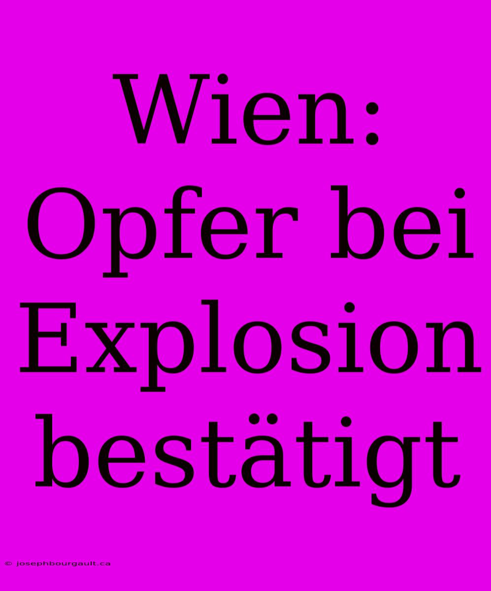 Wien: Opfer Bei Explosion Bestätigt