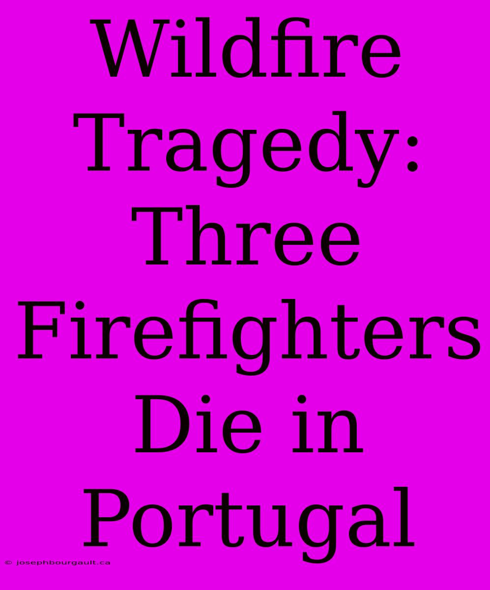 Wildfire Tragedy: Three Firefighters Die In Portugal