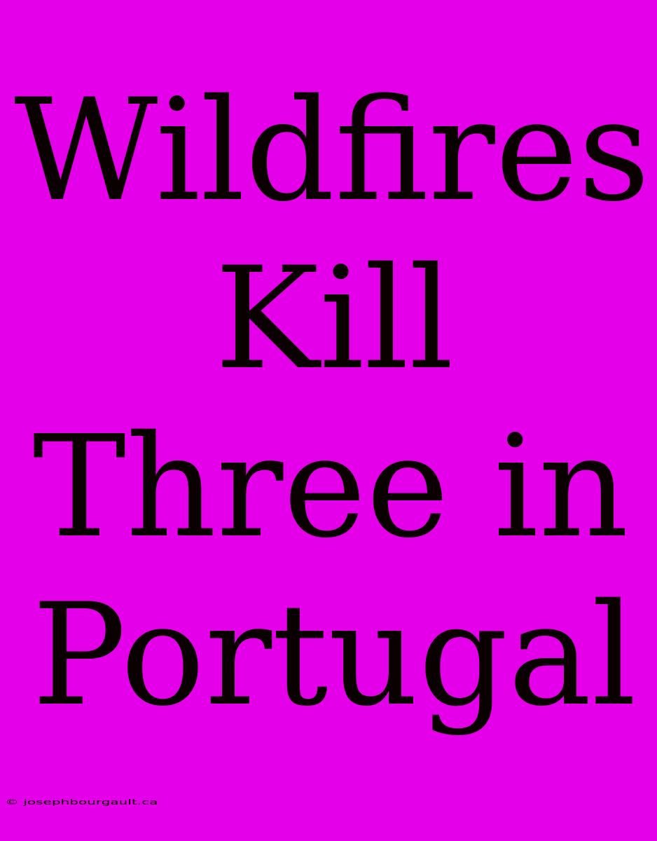 Wildfires Kill Three In Portugal