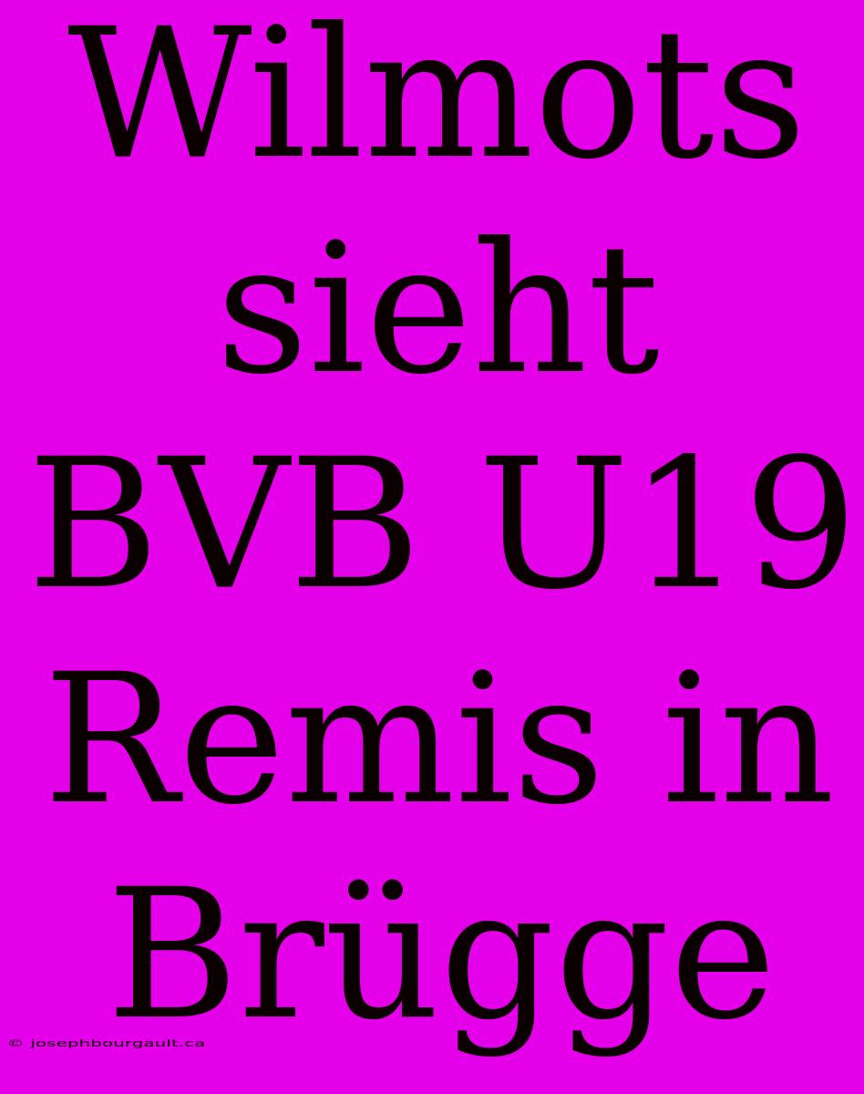 Wilmots Sieht BVB U19 Remis In Brügge